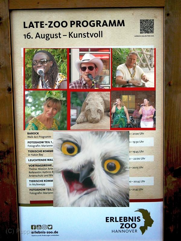 A Late Zoo.jpg